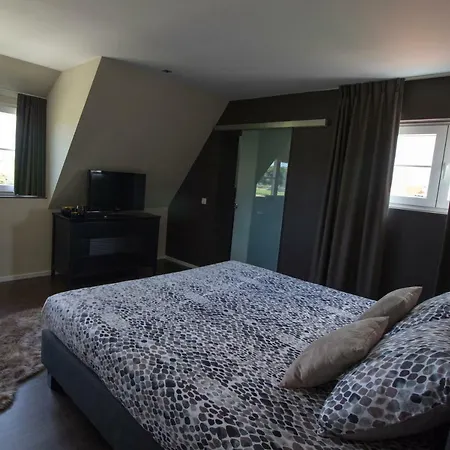 Brion**** Villa Wenduine