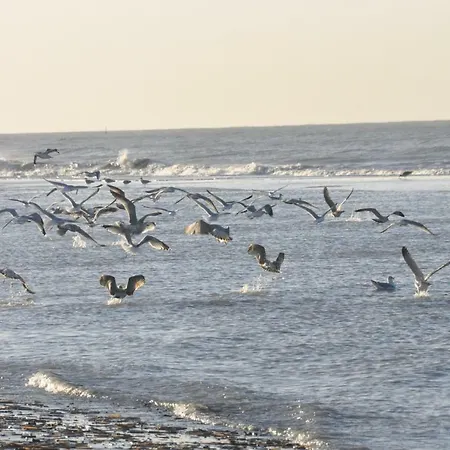 וילה Brion**** *