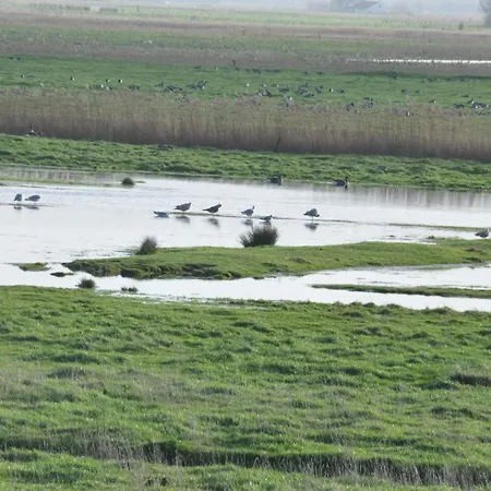 Villa Brion**** Wenduine