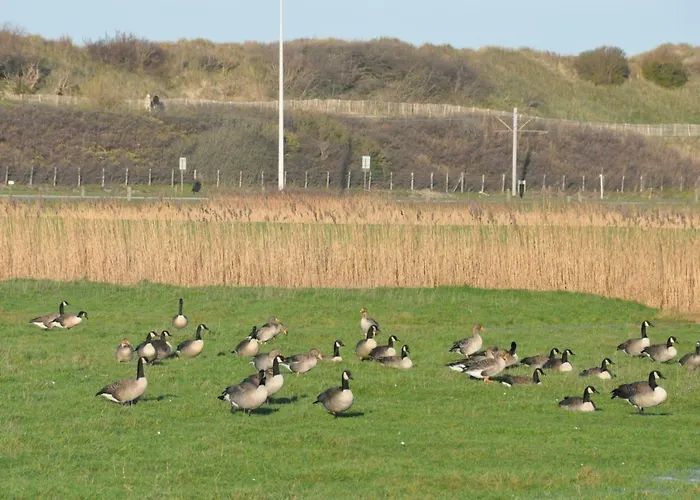 Brion**** Villa Wenduine