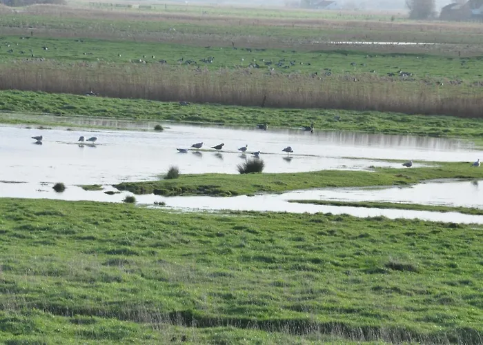 Villa Brion**** Wenduine